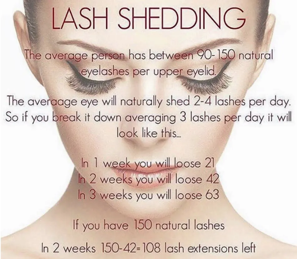 Lash Aftercare